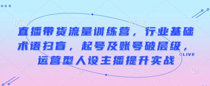 直播带货流量训练营，行业基础术语扫盲，起号及账号破层级，运营型人设主播提升实战| 网创圈