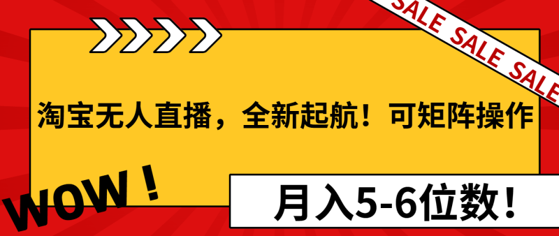 （13946期）淘宝无人直播，全新起航！可矩阵操作，月入5-6位数！| 网创圈