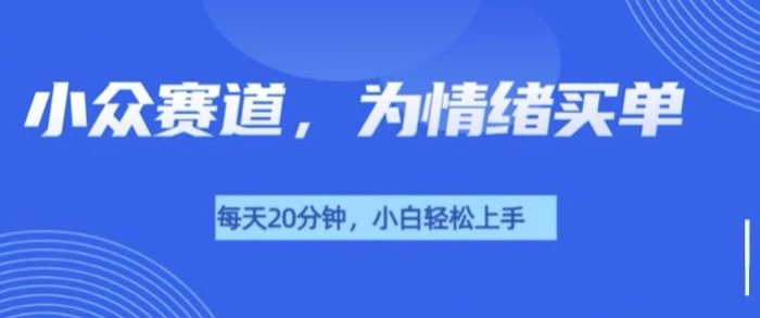小众赛道，我的治愈系电子抱枕，让用户为情绪买单| 网创圈