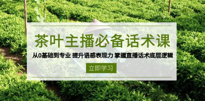 （13961期）茶叶 主播必备话术课 从0基础到专业 提升语感表现力 掌握直播话术底层逻辑| 网创圈