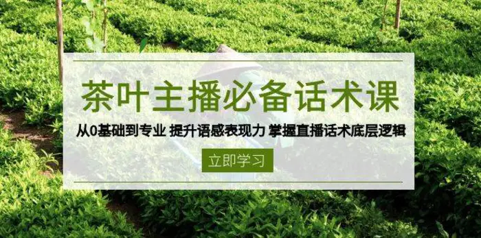 茶叶主播必备话术课 从0基础到专业 提升语感表现力 掌握直播话术底层逻辑| 网创圈