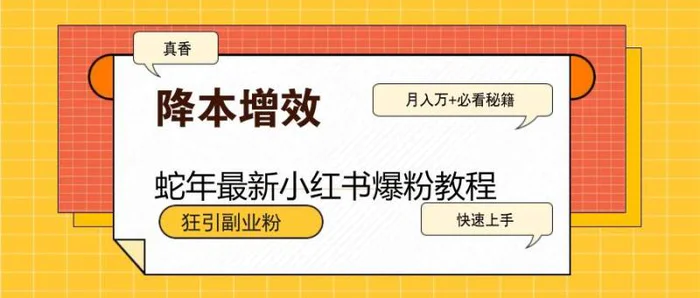 蛇年最新小红书爆粉教程，狂引副业粉，月入万+必看| 网创圈