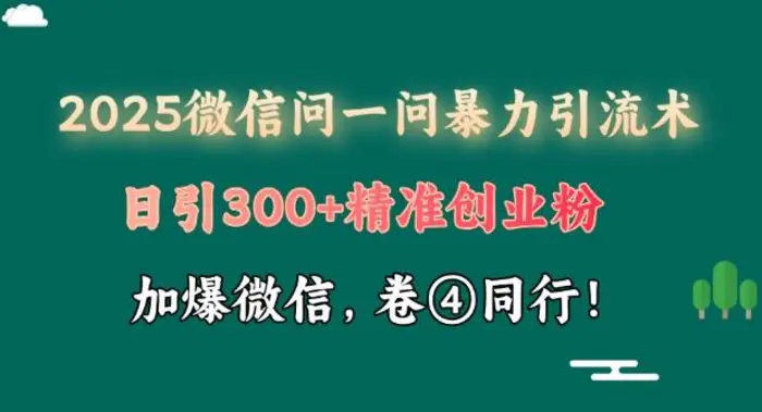 2025最新微信问一问暴力引流术揭秘，日引300+创业粉，单日变现四位数| 副业网