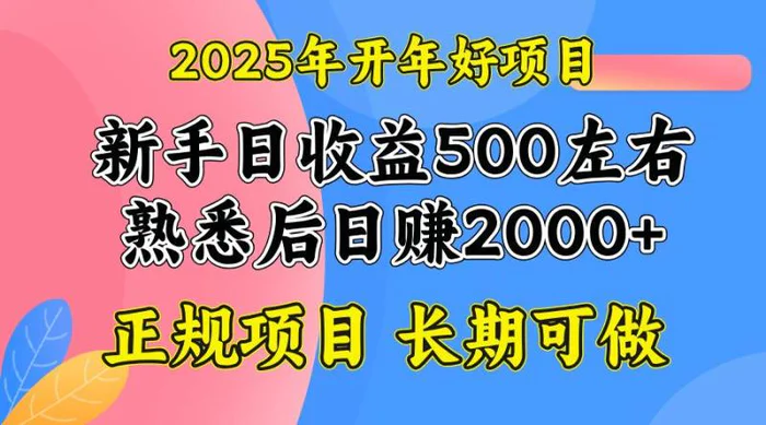 （14076期）2025开年好项目，单号日收益2000左右| 副业网