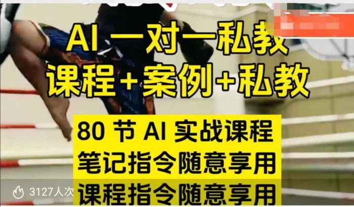 AI指令实战课，课程+案例，80节AI实战课程，笔记指令随意享用，课程指令随意享用| 网创圈