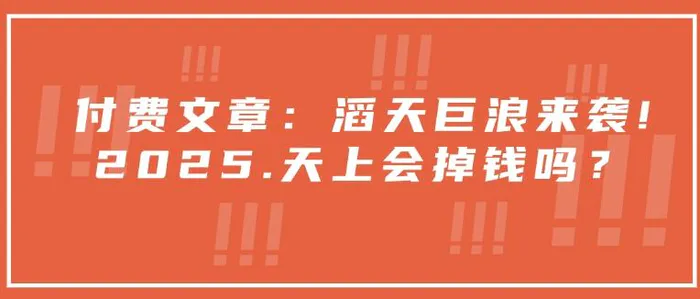 付费文章：滔天巨浪来袭！2025天上会掉钱吗？| 网创圈