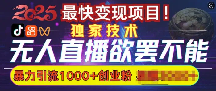 欲罢不能的无人直播引流，超暴力日引流1000+高质量精准创业粉| 网创圈