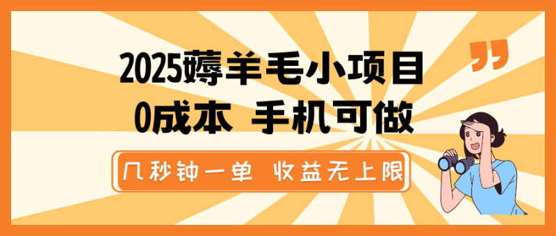 2025薅羊毛小项目，0成本 手机可做，几秒钟一单，收益无上限| 网创圈