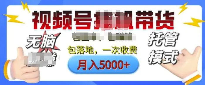 视频号挂J橱窗带货，纯托管模式，日入多张，无需剪辑，无需选品，有账号即可托管【揭秘】| 网创圈