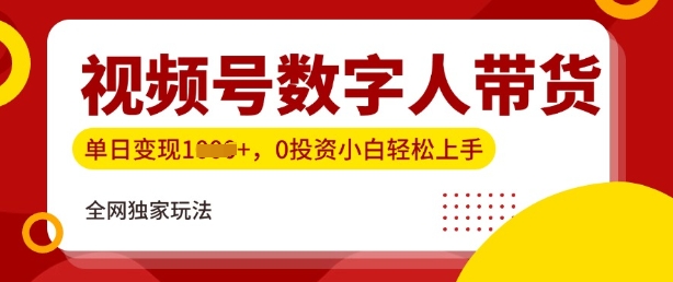 最新视频号数学人带货实操玩法，新手单日轻松多张，全程干货| 网创圈