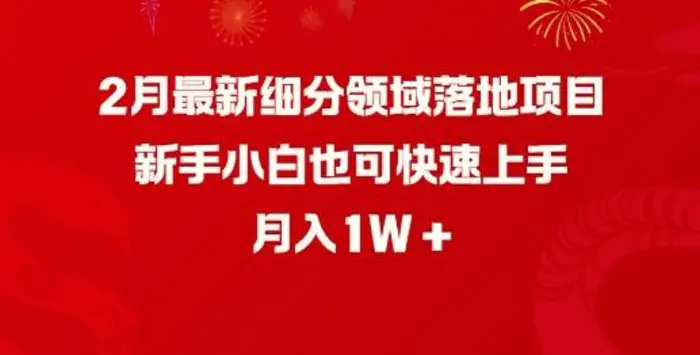 2月最新细分领域落地项目，新手小白也可快速上手，月入1W| 网创圈