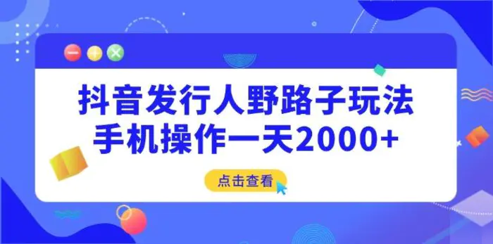（14319期）抖音发行人野路子玩法，手机操作一天2000+| 副业网