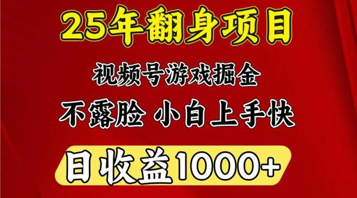一天收益1000+ 25年开年落地好项目| 副业网