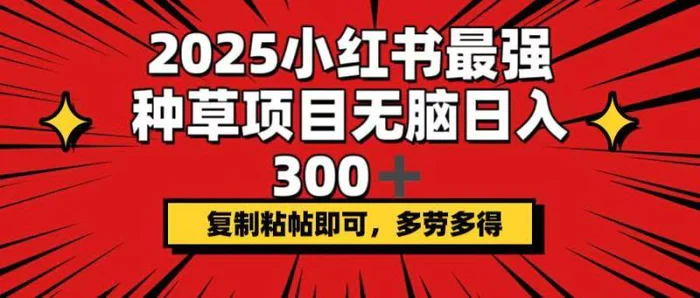 （14375期）2025小红书最强种草项目，无脑日入300+，复制粘帖即可，多劳多得| 网创圈