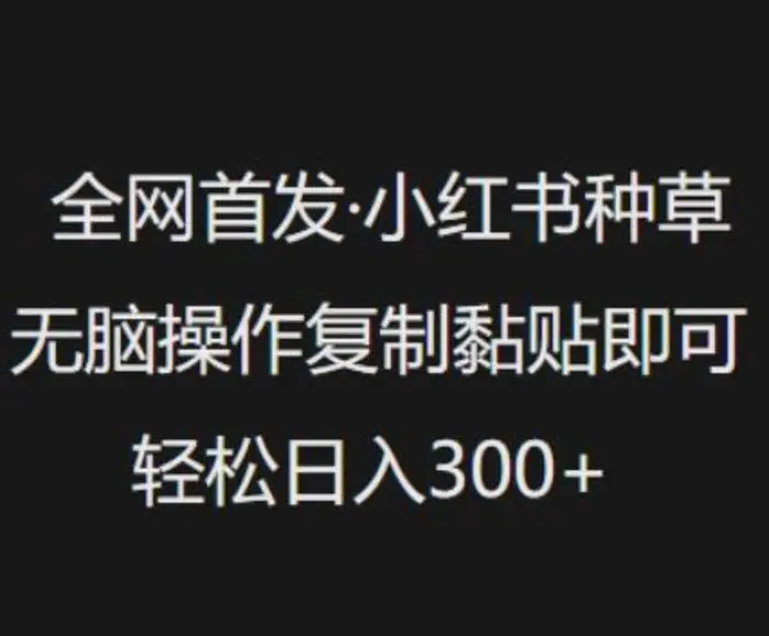 全网首发，小红书种草无脑操作，复制黏贴即可，轻松日入3张| 网创圈