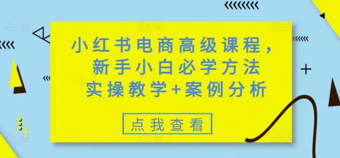 小红书电商高级课程，新手小白必学方法，实操教学+案例分析| 网创圈