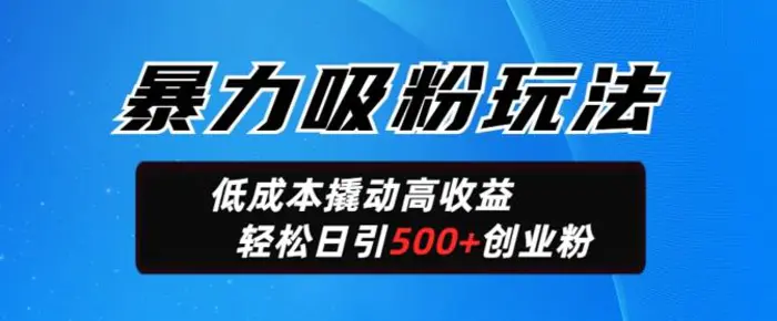暴力吸粉玩法，日引500+精准创业粉，日变现轻松多张| 网创圈
