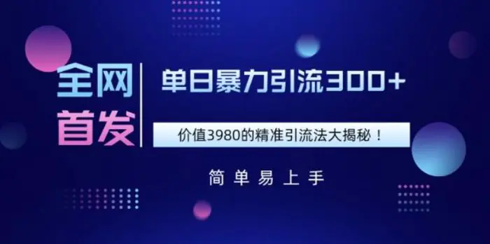 全网首发，价值3980单日暴力引流300+的精准引流法大揭秘| 副业网