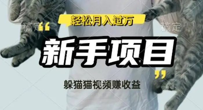 利用老外躲猫猫大赛视频，挣分成收益，操作简单，新手小白，轻松月入过W| 网创圈