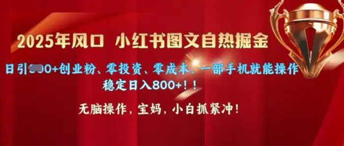 25年风口小红书图文掘金，日引300+创业粉、零投资、零成本、一部手机就能操作| 副业网