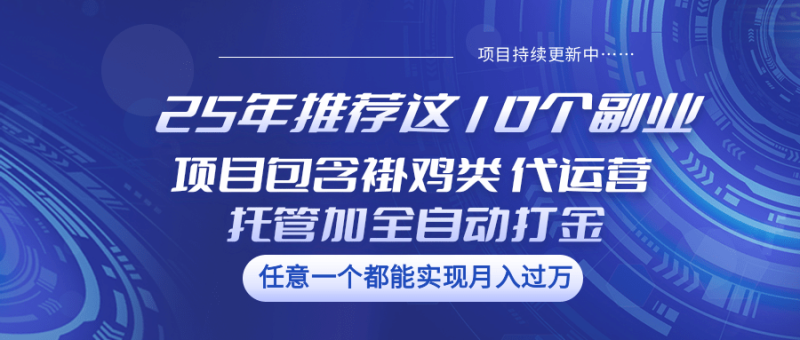25年推荐这10个副业 项目包含褂鸡类、代运营托管类、全自动打金类| 副业网