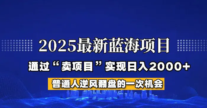 2025年蓝海项目，如何通过“网创项目”日入2000+| 副业网