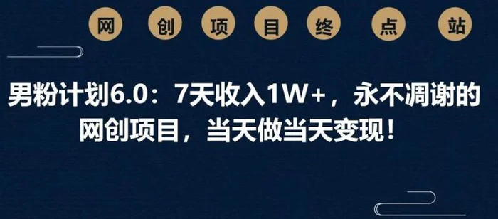 男粉计划6.0：7天收入1W+，永不凋谢的网创项目，当天做当天变现！| 网创圈