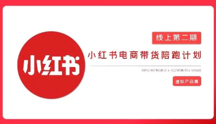 2025小红书虚拟电商实战课，从0到1打造无货源店铺，AI+爆款笔记轻松变现| 网创圈