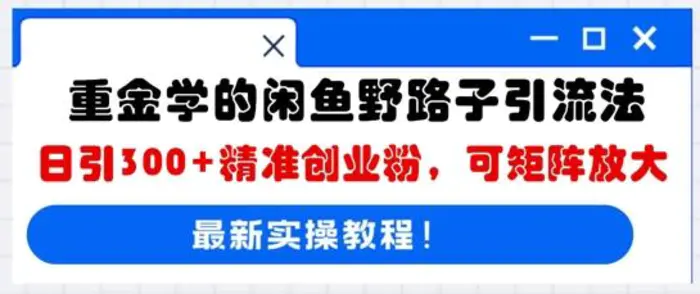 重金学的闲鱼野路子引流法，日引300+精准创业粉，可矩阵放大| 网创圈