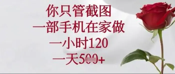 你只管截图，一部手机在家操作，一小时120.一天5张| 网创圈