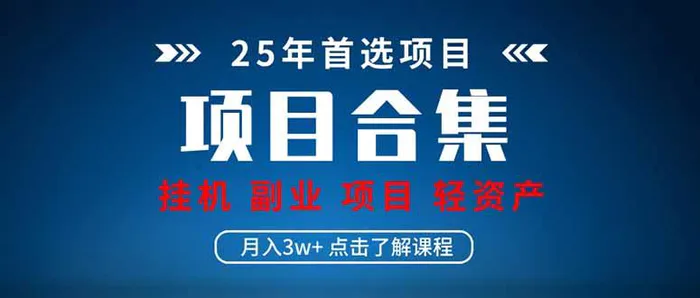 （14175期）2025 实操项目合集 挂机类型 直播类型 轻资产创业类型 课程分享各项目…| 网创圈