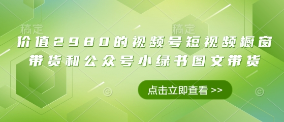 价值2980的视频号短视频橱窗带货和公众号小绿书图文带货| 网创圈
