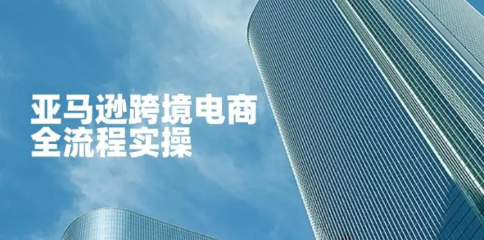 （14252期）亚马逊跨境电商全流程实操，教你从零开始，掌握店铺运营与广告技巧| 网创圈