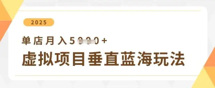 虚拟项目垂直玩法，实现单店月入5k+| 副业网
