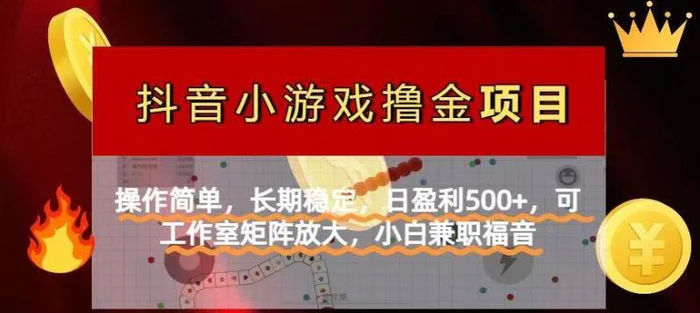 （14290期）【抖音小游戏发行人计划项目】操作简单，长期稳定，日盈利500+，可工作…| 网创圈