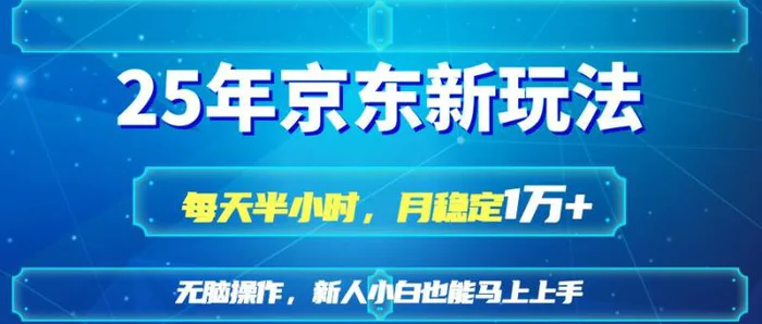 （14309期）25京东新玩法，每天半小时，月稳定1W+| 网创圈