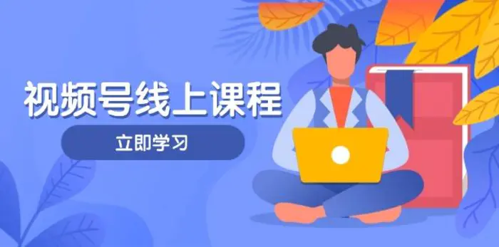 （14360期）视频号实战课程，轻IP打造与运营技巧，掌握核心方法与策略| 网创圈