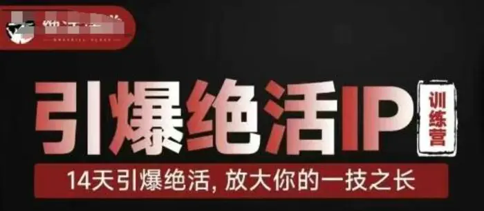 引爆绝活IP训练营，14天引爆绝活，放大你的一技之长| 网创圈