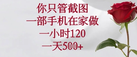 你只管截图，一部手机在家做，苹果安卓都可以，一小时120，一天5张+| 网创圈
