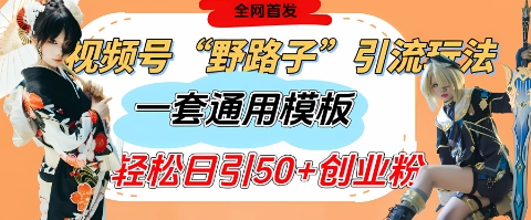 视频号“野路子”玩法，评论区疯狂截流，一套模板单日单号引流50+创业粉| 网创圈