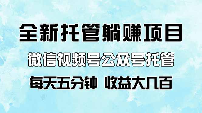 （14425期）全新托管躺赚项目，微信视频号公众号托管代运营，每天五分钟，收益大几百| 网创圈