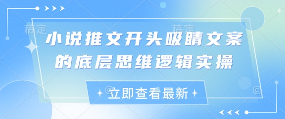 小说推文开头吸睛文案的底层思维逻辑实操| 网创圈