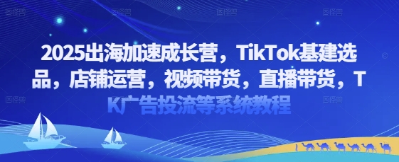 2025出海加速成长营，TikTok基建选品，店铺运营，视频带货，直播带货，TK广告投流等系统教程| 网创圈