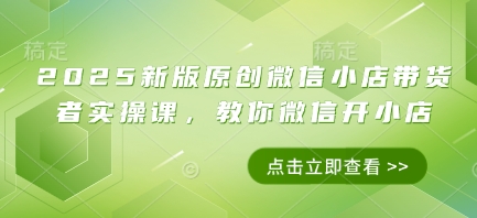 2025新版原创微信小店带货者实操课，教你微信开小店| 网创圈