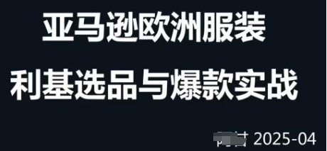 跨境电商选品案例24-25年，聚焦跨境电商选品策略与运营优化，助力卖家挖掘蓝海市场| 网创圈