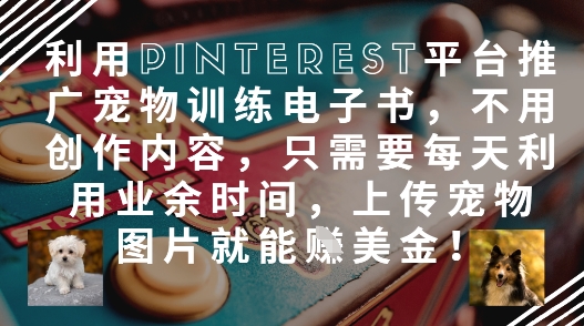 利用Pinterest平台推广宠物训练电子书，不用创作内容，只需要每天利用业余时间，上传宠物图片就能挣美金!| 网创圈