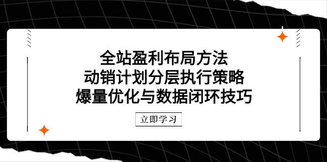 全站盈利布局方法：动销计划分层执行策略，爆量优化与数据闭环技巧| 副业网