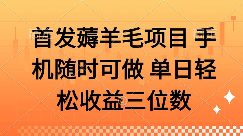 （14686期）薅羊毛项目 手机随时可做 单日轻松收益三位数| 网创圈