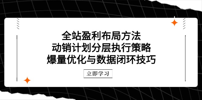 （14698期）全站盈利布局方法：动销计划分层执行策略，爆量优化与数据闭环技巧| 网创圈