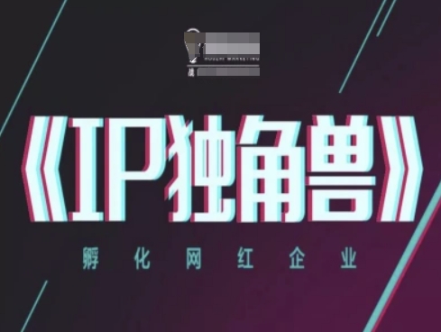 IP独角兽，孵化网红企业，ip教程| 网创圈